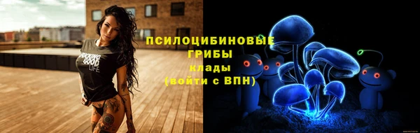 крисы Балахна